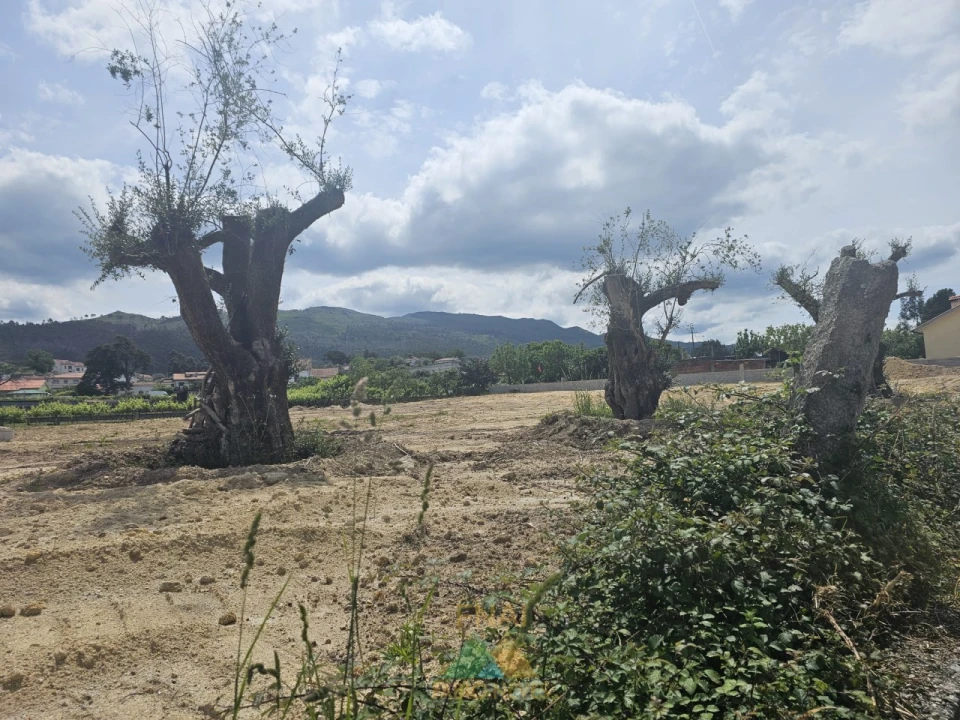 Terreno para Venda em Correlhã Foto 5