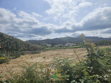 Terreno para Venda em Correlhã
