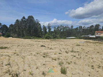 Terreno para Venda em Correlhã