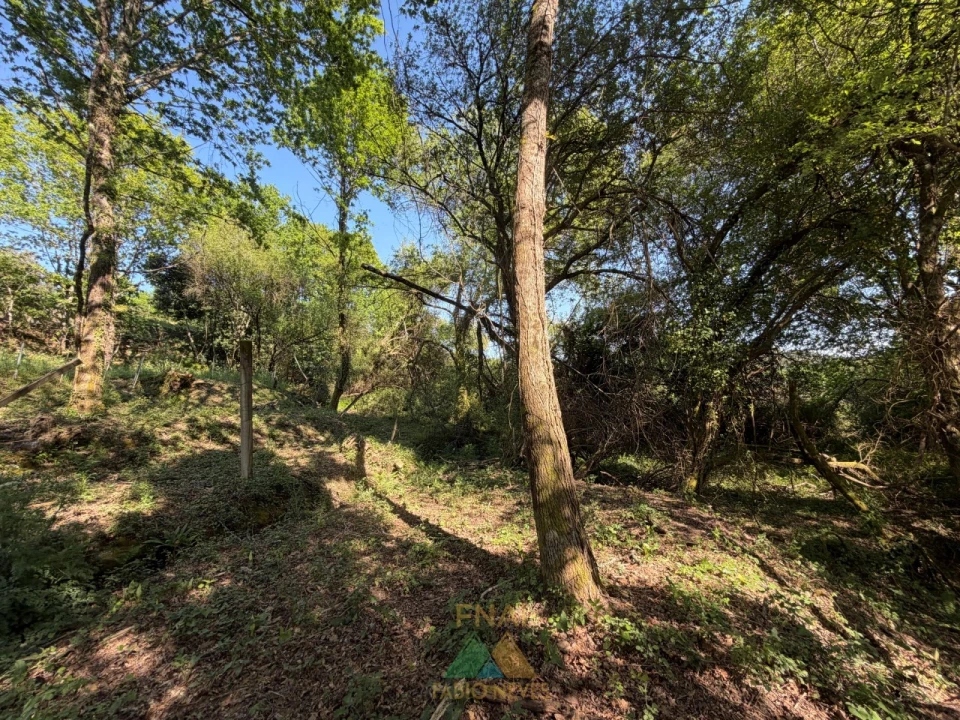 Moradia T2 para Venda em Gondoriz Foto 9