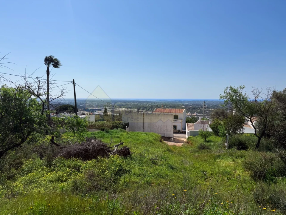 Terreno para Venda em Santa Barbara de Nexe Foto 4