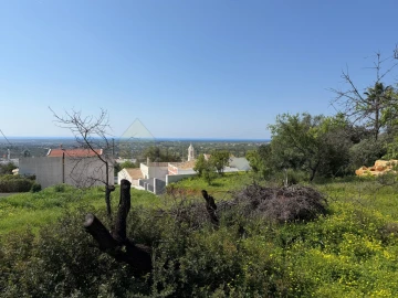 Terreno para Venda em Santa Barbara de Nexe
