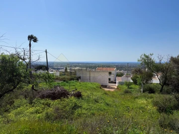 Terreno para Venda em Santa Barbara de Nexe