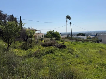 Terreno para Venda em Santa Barbara de Nexe