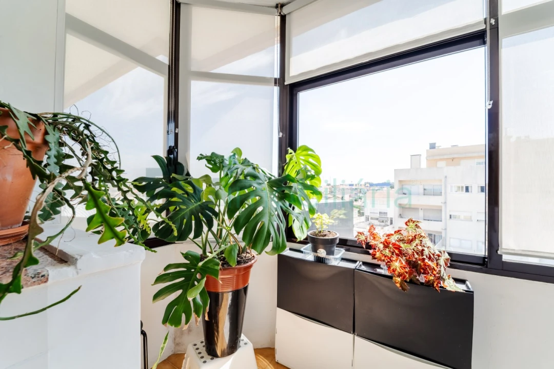 Apartamento T2 para Venda em Matosinhos e Leça da Palmeira Foto 21