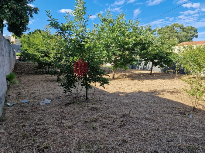 Terreno para Venda em Cidade da Maia Foto 11