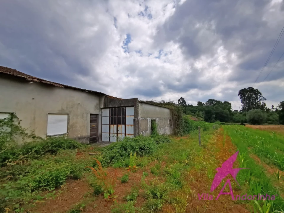 Terreno para Venda em Nogueira, Meixedo e Vilar de Murteda Foto 1