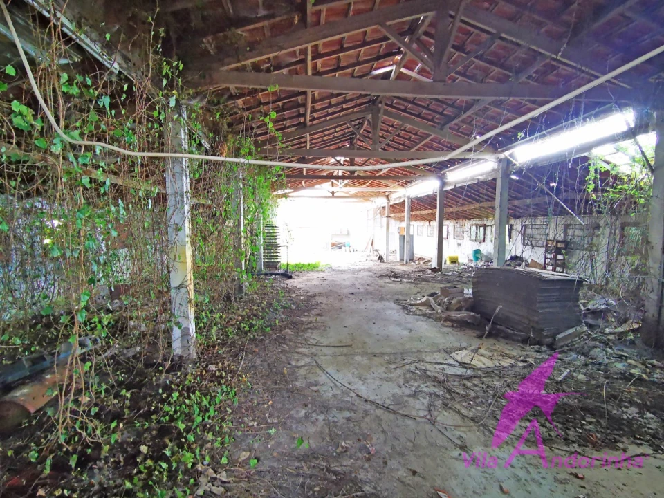 Terreno para Venda em Nogueira, Meixedo e Vilar de Murteda Foto 3