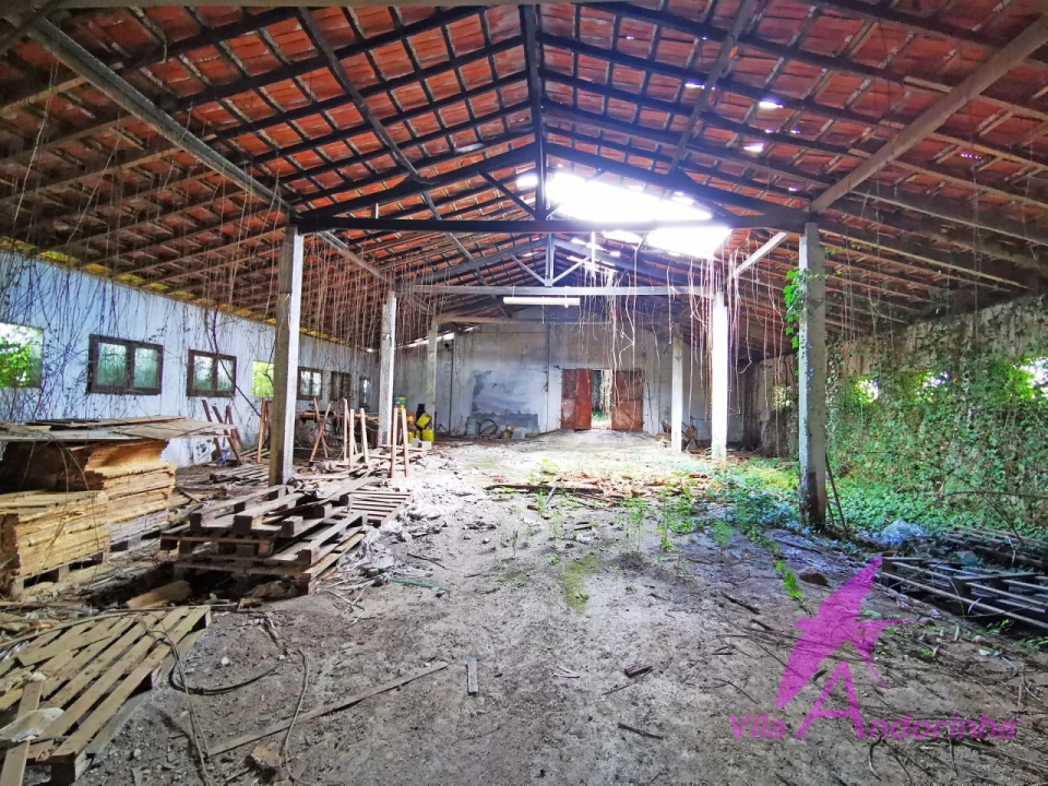 Terreno para Venda em Nogueira, Meixedo e Vilar de Murteda Foto 6