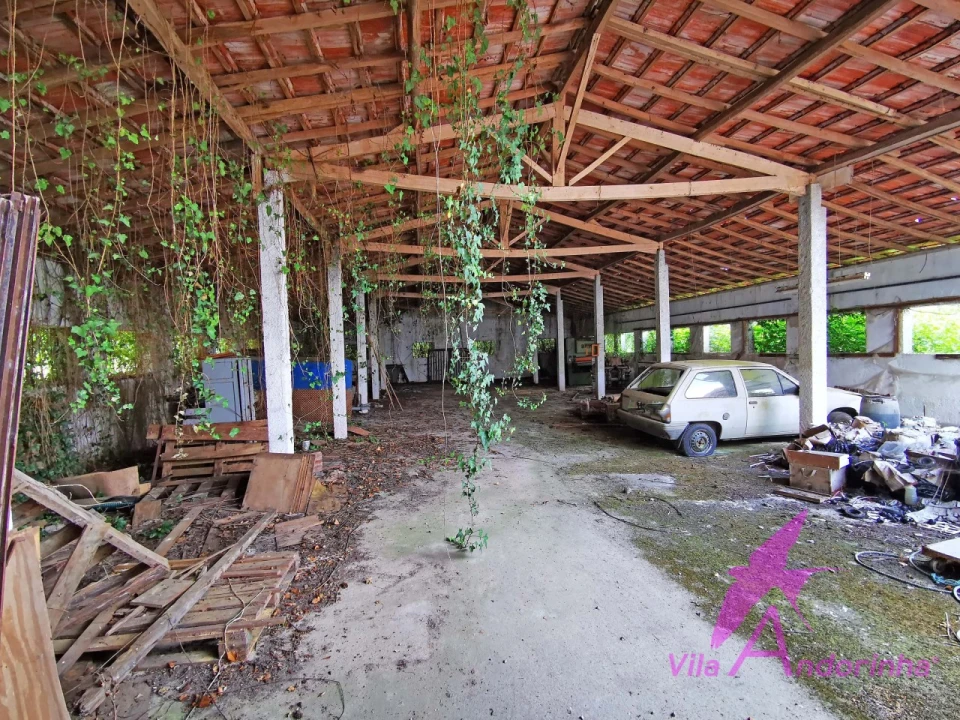 Terreno para Venda em Nogueira, Meixedo e Vilar de Murteda Foto 8