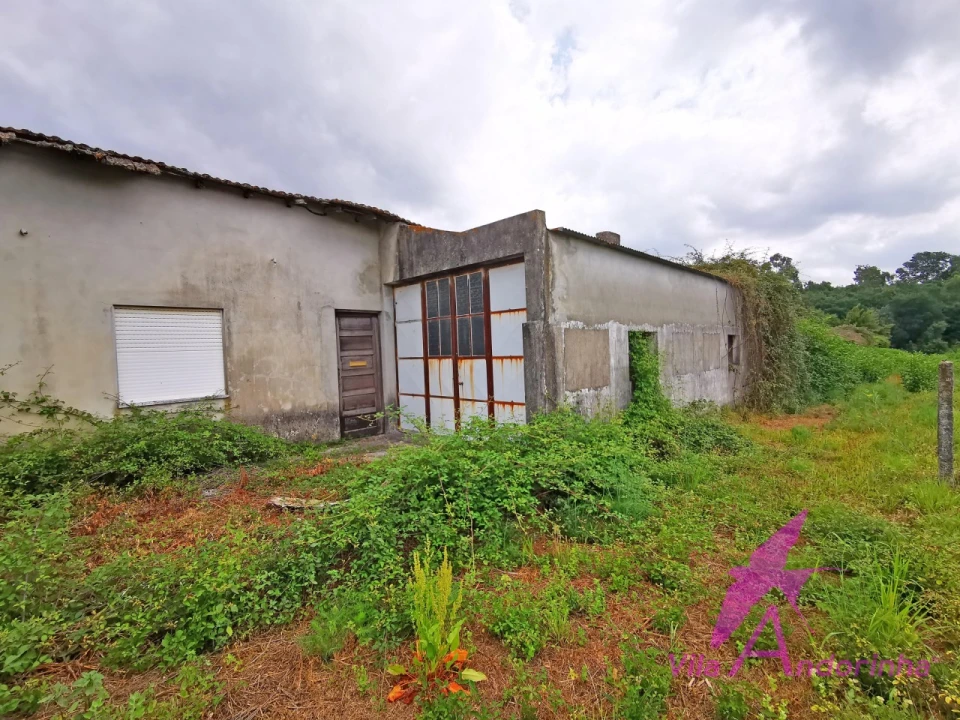 Terreno para Venda em Nogueira, Meixedo e Vilar de Murteda Foto 15