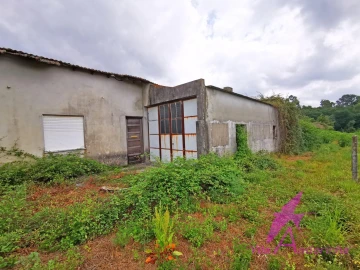 Terreno para Venda em Nogueira, Meixedo e Vilar de Murteda