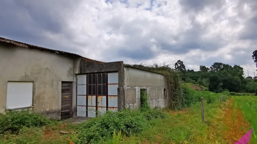 Terreno para Venda em Nogueira, Meixedo e Vilar de Murteda