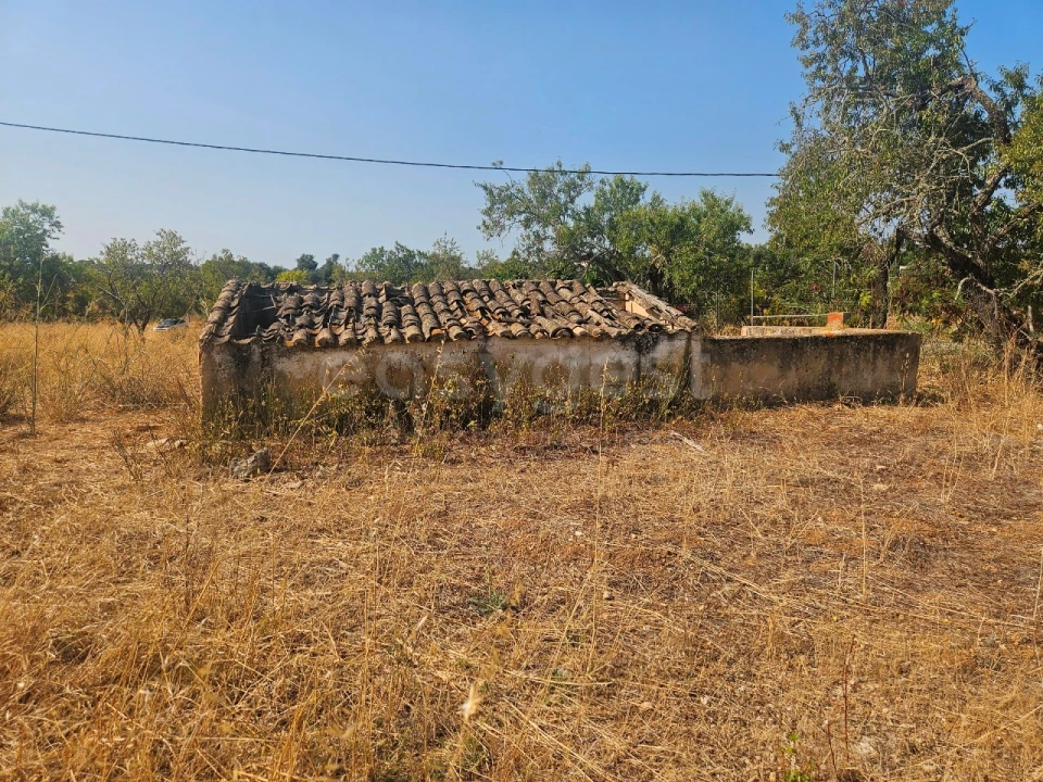 Terreno Misto para Venda em Lagoa e Carvoeiro Foto 4