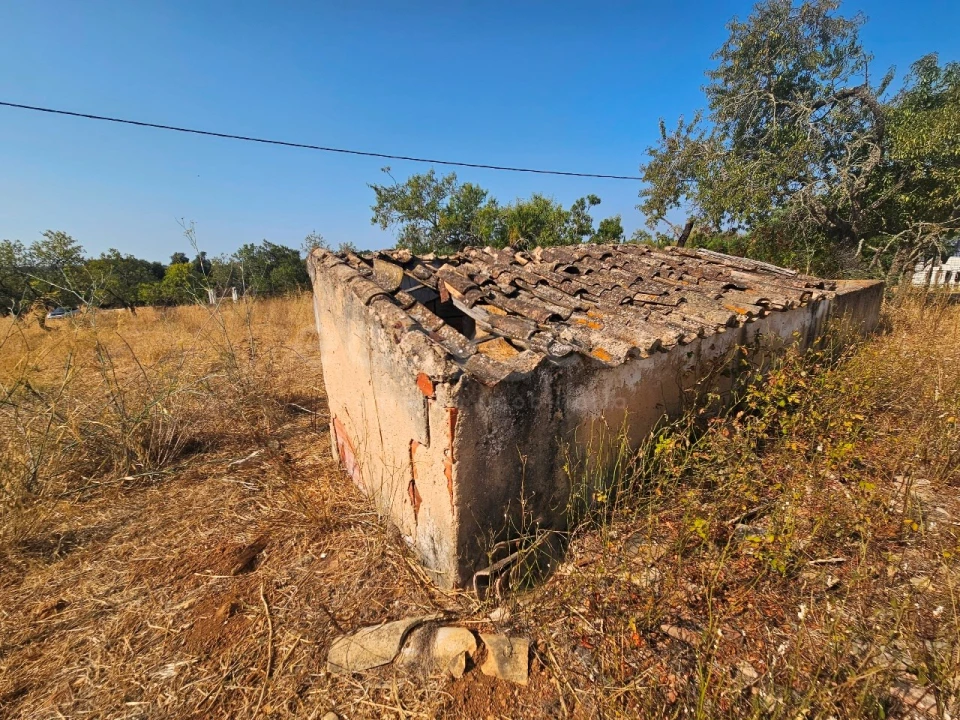 Terreno Misto para Venda em Lagoa e Carvoeiro Foto 5