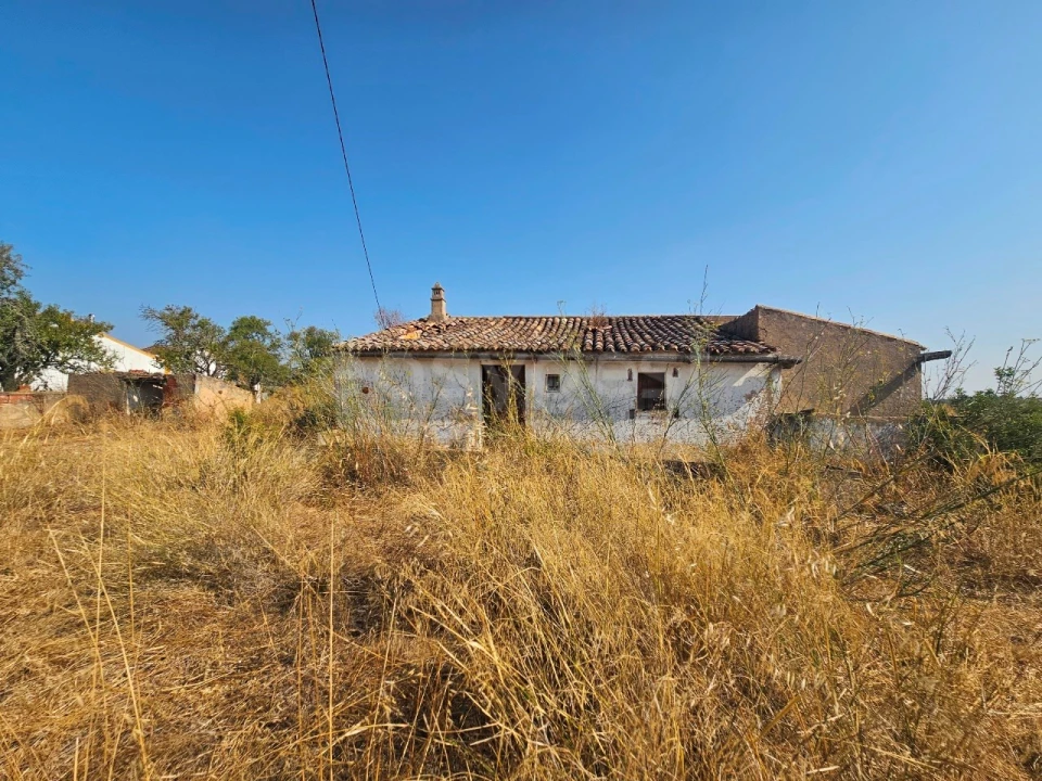 Terreno Misto para Venda em Lagoa e Carvoeiro Foto 10