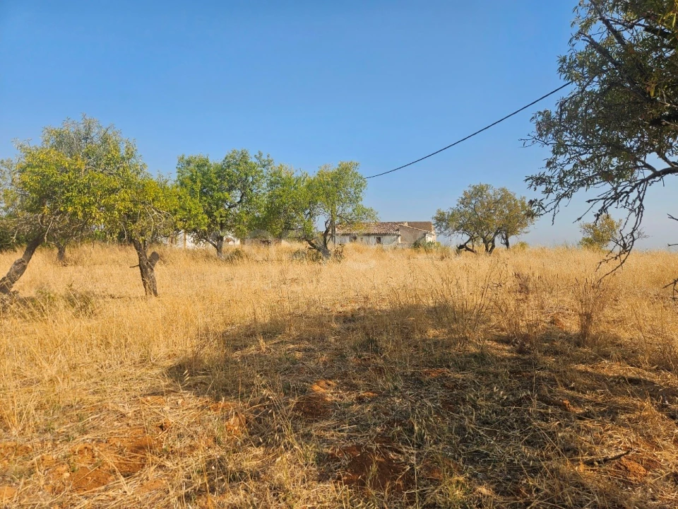 Terreno Misto para Venda em Lagoa e Carvoeiro Foto 11