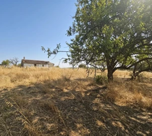 Terreno Misto para Venda em Lagoa e Carvoeiro