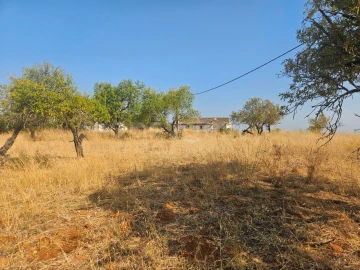 Terreno Misto para Venda em Lagoa e Carvoeiro