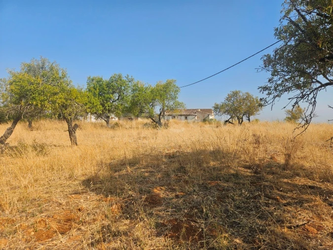 Terreno Misto para Venda em Lagoa e Carvoeiro Foto 11