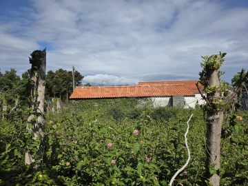 Moradia T1 para Venda em Madalena