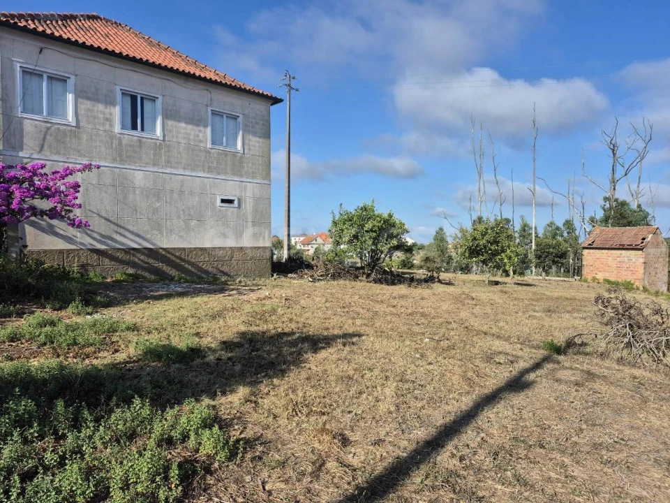 Moradia T3 para Venda em Colmeias e Memória Foto 4