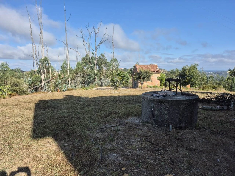 Moradia T3 para Venda em Colmeias e Memória Foto 5