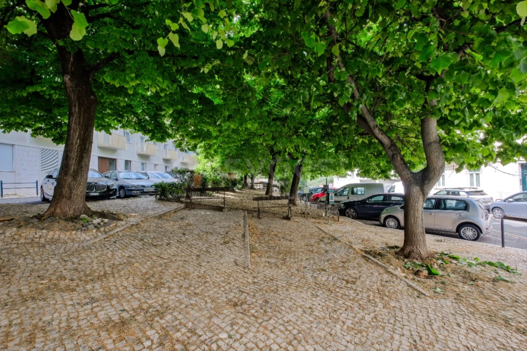 Apartamento T1 para Arrendamento em Santo António Foto 27