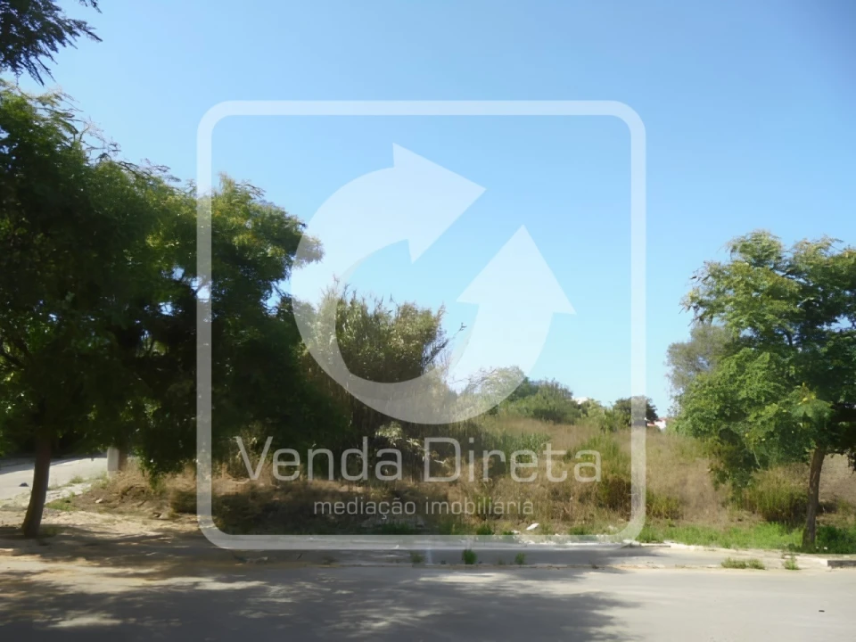 Terreno para Venda em Buarcos Foto 15