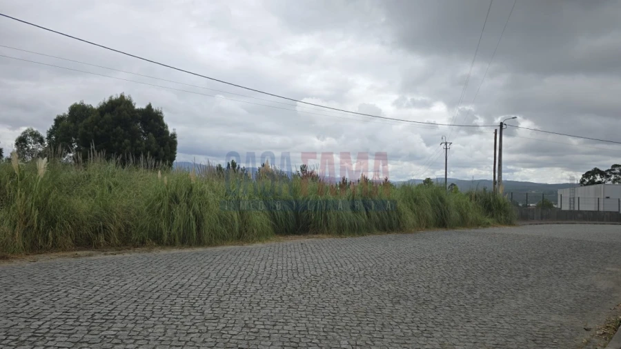 Terreno para Venda em Lousado Foto 4