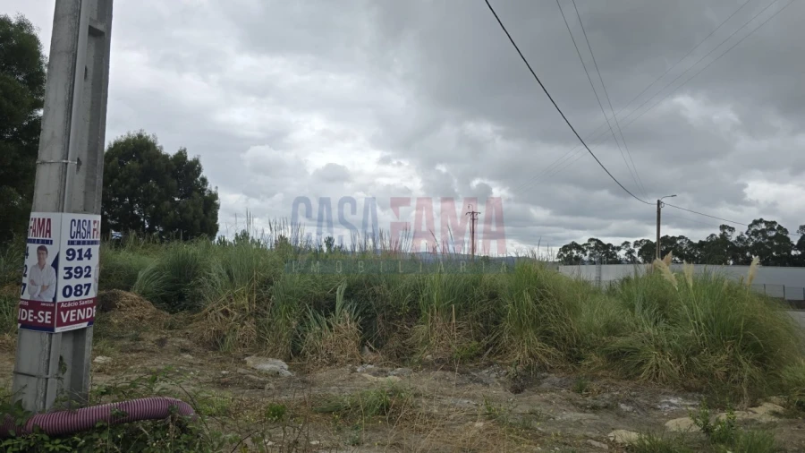 Terreno para Venda em Lousado Foto 13