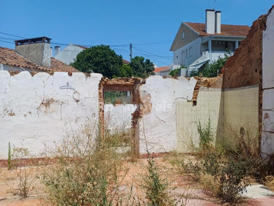 Terreno para Venda em São Miguel do Rio Torto e Rossio Ao Sul do Tejo Foto 6