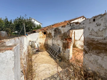 Terreno para Venda em São Miguel do Rio Torto e Rossio Ao Sul do Tejo