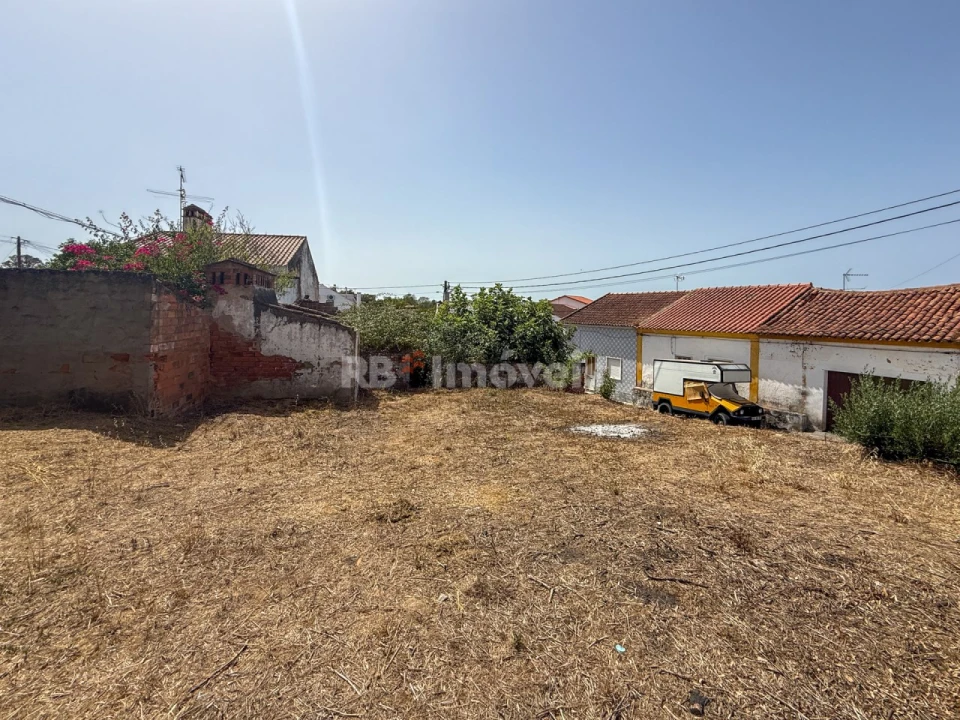 Terreno para Venda em São Miguel do Rio Torto e Rossio Ao Sul do Tejo Foto 10