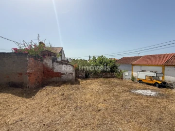Terreno para Venda em São Miguel do Rio Torto e Rossio Ao Sul do Tejo