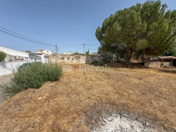 Terreno para Venda em São Miguel do Rio Torto e Rossio Ao Sul do Tejo