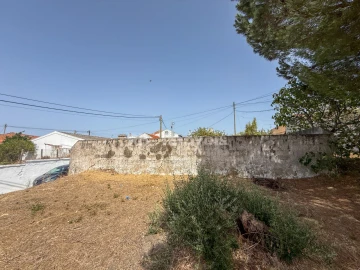 Terreno para Venda em São Miguel do Rio Torto e Rossio Ao Sul do Tejo