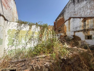 Terreno para Venda em São Miguel do Rio Torto e Rossio Ao Sul do Tejo