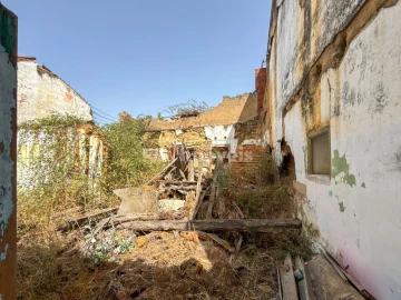 Terreno para Venda em São Miguel do Rio Torto e Rossio Ao Sul do Tejo