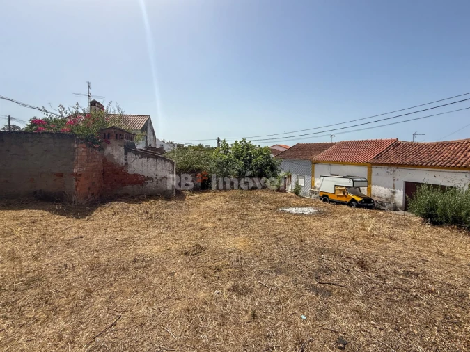 Terreno para Venda em São Miguel do Rio Torto e Rossio Ao Sul do Tejo Foto 10