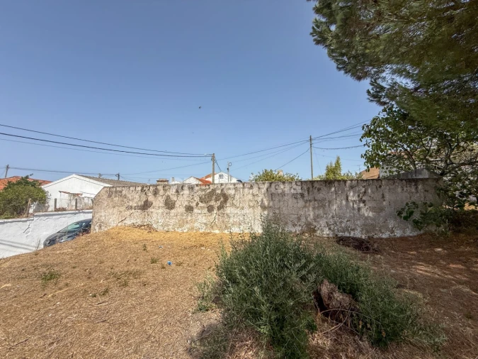 Terreno para Venda em São Miguel do Rio Torto e Rossio Ao Sul do Tejo Foto 12