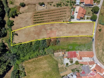 Terreno para Venda em Barrio