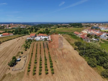 Terreno para Venda em Barrio