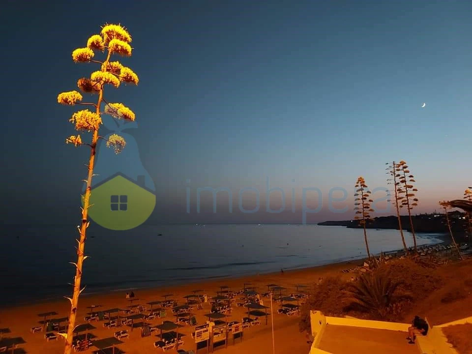 Terreno Agricola ou Rústico para Venda em Alcantarilha e Pêra Foto 6