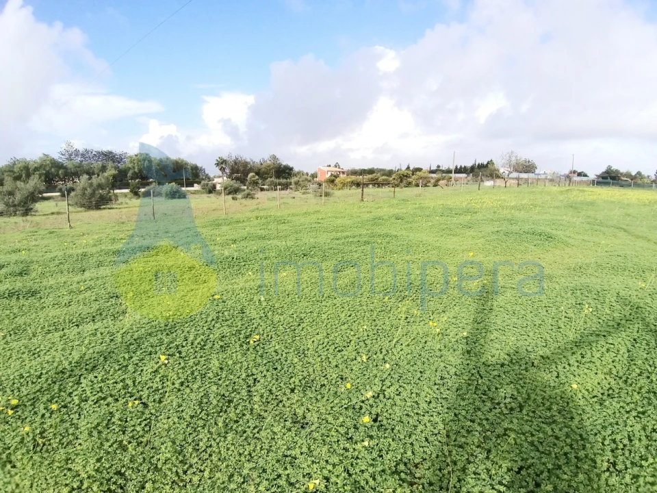 Terreno Agricola ou Rústico para Venda em Alcantarilha e Pêra Foto 1