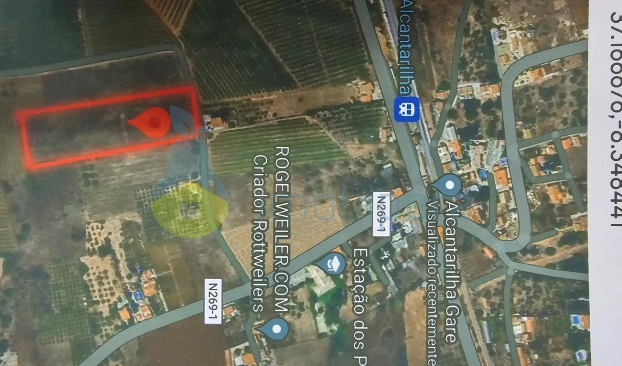 Terreno Agricola ou Rústico para Venda em Alcantarilha e Pêra Foto 3