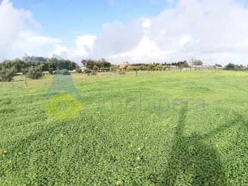 Terreno Agricola ou Rústico para Venda em Alcantarilha e Pêra