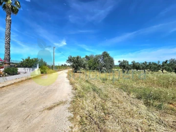 Terreno Agricola ou Rústico para Venda em Alcantarilha e Pêra
