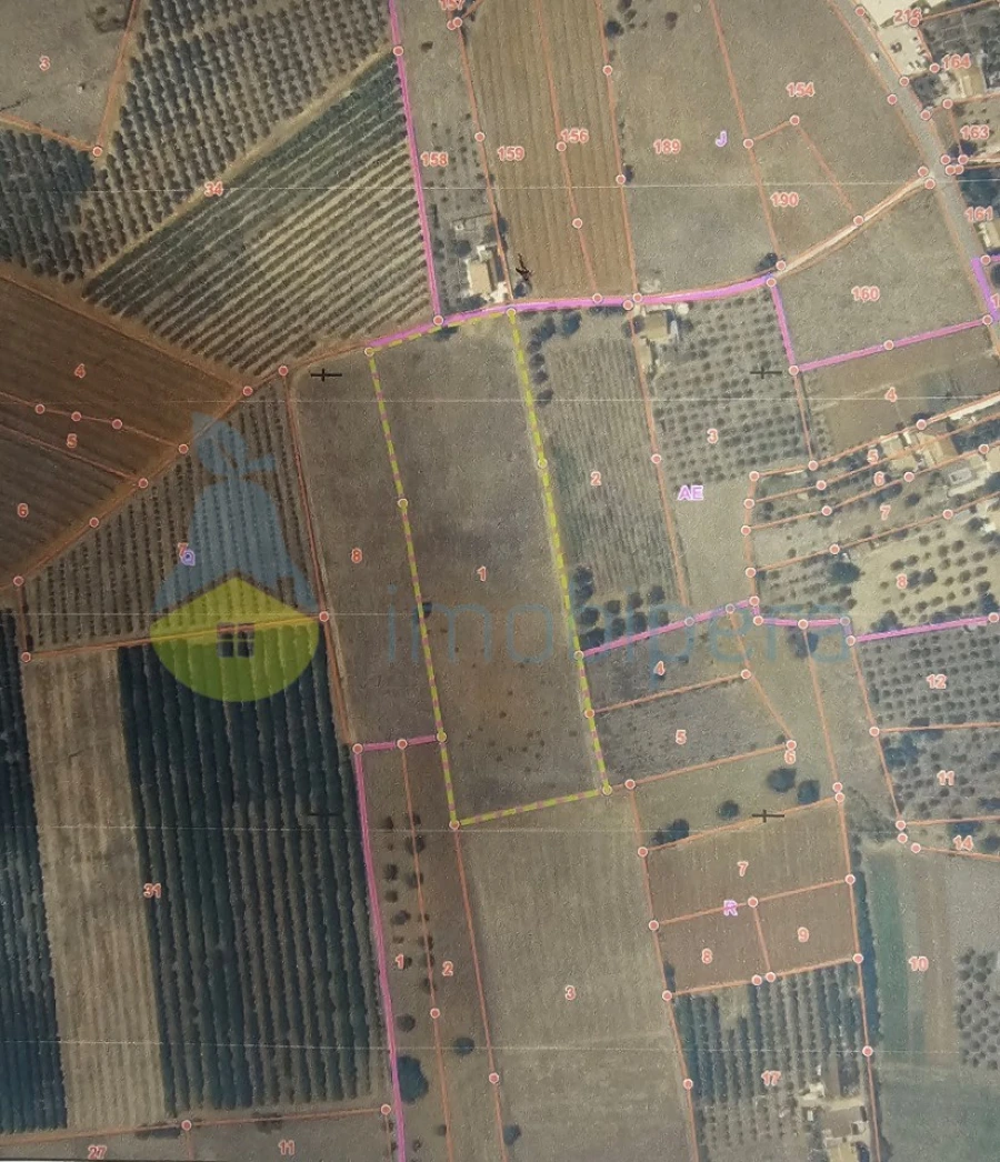 Terreno Agricola ou Rústico para Venda em Alcantarilha e Pêra Foto 4
