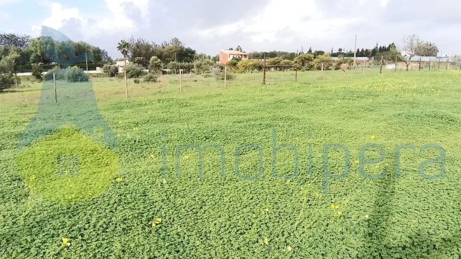 Terreno Agricola ou Rústico para Venda em Alcantarilha e Pêra